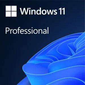 Windows 11 Pro fully installed by PC Help 50+